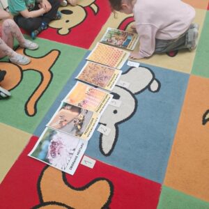 Na zdjęciu widzę grupę dzieci podczas zajęć edukacyjnych z materiałami dydaktycznymi o pszczołach:
Główna aktywność:
Dzieci siedzą w kręgu na podłodze podczas zajęć edukacyjnych
Oglądają i omawiają materiały dydaktyczne o pszczołach
Spokojna, skupiona atmosfera lekcji
Dzieci:
Około 4-5 dzieci widocznych na zdjęciu
Siedzą po turecku lub klęczą
Ubrania:
Turkusowa/miętowa koszulka
Biała bluza
Różowe spodnie w kwiatki
Kolorowe, letnie stroje
Materiały edukacyjne na podłodze:
Plansze dydaktyczne:
5-6 dużych kart edukacyjnych ułożonych w linii
Każda karta zawiera:
Fotografię przedstawiającą pszczoły, plaster miodu lub pszczelarza
Tekst informacyjny (żółte tło z napisami)
Ilustracje lub diagramy
Widoczne tematy na kartach:
Plaster miodu - struktura sześciokątna, komórki
Pszczoły w ulu - życie pszczół
Pszczelarz przy pracy - człowiek w kombinezonie pszczelarskim
Larwy pszczół - rozwój pszczół
Inne aspekty życia pszczół
Dodatkowy materiał:
Książka/album z ilustracjami (widoczna u góry)
Prawdopodobnie książka o pszczołach z kolorowymi zdjęciami
Dywan/mata edukacyjna:
Kolorowy dywan z puzzli w jasnych kolorach:
Czerwony
Niebieski
Zielony
Żółty
Pomarańczowy
Czarne kontury tworzące wzór (prawdopodobnie kształty zwierząt lub postaci)
Miękka, bezpieczna powierzchnia do siedzenia
Podłoga:
Jasna, drewniana podłoga (parkiet)
Czysta sala przedszkolna/szkolna
Kontekst edukacyjny:
Temat zajęć - pszczoły:
Materiały pokazują kompleksowe podejście do tematu:
Anatomia i biologia - budowa pszczoły, rozwój
Życie społeczne - organizacja ula, plaster miodu
Pszczelarstwo - praca człowieka z pszczołami
Produkty pszczele - miód, wosk
Metoda nauczania:
Wizualne uczenie się - fotografie, ilustracje
Dyskusja grupowa - dzieci oglądają razem
Interaktywność - materiały na podłodze, dostępne dla wszystkich
Storytelling - opowiadanie historii o pszczołach
Umiejętności rozwijane:
Słuchanie ze zrozumieniem
Obserwacja i analiza obrazów
Myślenie krytyczne - zadawanie pytań
Wiedza przyrodnicza - cykl życia pszczół, ekosystem
Siedzenie w grupie - umiejętności społeczne
Koncentracja - skupienie na temacie
Atmosfera:
Zdjęcie przedstawia klasyczny moment edukacji przedszkolnej/wczesnoszkolnej:
Spokojne, skupione dzieci - zainteresowane tematem
Profesjonalne materiały dydaktyczne - wysokiej jakości plansze
Komfortowe warunki - miękki dywan, przestronna sala
Interaktywne uczenie się - dzieci blisko materiałów, mogą dotykać i oglądać
Struktura zajęć:
To prawdopodobnie część większego projektu edukacyjnego o pszczołach, który obejmuje:
Teorię - oglądanie materiałów, dyskusja (to zdjęcie)
Praktykę - tworzenie prac plastycznych (wcześniejsze zdjęcia)
Zabawę ruchową - aktywności z chustą animacyjną (poprzednie zdjęcie)
Prezentację - wystawy prac na tablicach
To holistyczne podejście do edukacji - dzieci uczą się na wiele sposobów (wizualnie, praktycznie, ruchowo), co pomaga im lepiej zrozumieć i zapamiętać temat. Profesjonalne materiały dydaktyczne z prawdziwymi fotografiami pokazują dzieciom rzeczywisty świat pszczół, nie tylko rysunki czy ilustracje, co buduje autentyczną wiedzę przyrodniczą.