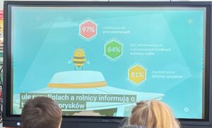 Na zdjęciu widzę kolejny slajd z prezentacji edukacyjnej o pszczołach:

Główny element - ekran/projekcja:

Duży ekran z profesjonalną prezentacją multimedialną
Miętowo-turkusowe tło z delikatnymi geometrycznymi wzorami
Nowoczesna, czytelna infografika
Treść na ekranie - statystyki w sześciokątach (kształt plastra miodu):

Różowy sześciokąt (góra):

97% - "umieszcza ule przy plantacjach"
Zielony sześciokąt (środek po prawej):

84% - "jest informowanych o stosowanych środkach ochrony roślin"
Żółty sześciokąt (dół po prawej):

81% - "zna dokładnie terminy oprysków"
Ilustracja:

Postać pszczoły po lewej stronie - kreskówkowa, w czarno-żółte paski
Biały ul/pudełko pod pszczołą z żółtym paskiem (prawdopodobnie symbolizuje plaster miodu lub ul)
Delikatne białe kropki/bąbelki w tle
Napisy dolne:

"ule r... Polach a rolnicy informują o... prysków" (częściowo widoczny tekst)
Widzowie:

Dwoje dzieci oglądających prezentację
Widoczne z tyłu - brązowe włosy
Jedno dziecko z jasną kokardką
Atmosfera:
Slajd przedstawia konkretne dane statystyczne o współpracy między pszczelarzami a rolnikami. Infografika pokazuje, jak rolnicy dbają o bezpieczeństwo pszczół - informując o oprysków, umieszczając ule strategicznie i komunikując się z pszczelarzami. Użycie sześciokątów (kształt plastra miodu) to przemyślany zabieg wizualny łączący formę z treścią. To edukacja o odpowiedzialnym rolnictwie i ochronie zapylaczy.