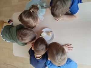 Na zdjęciu widzę scenę sfotografowaną z góry, przedstawiającą grupę dzieci:

Uczestnicy:

Czworo dzieci stojących wokół białego stołu
Dzieci ubrane w kolorowe ubrania: zielone, niebieskie i granatowe
Jedno dziecko (dziewczynka) ma włosy upięte w kucyk z niebieską kokardą/ozdobą
Centralna scena:

Białe, okrągłe naczynie/talerz umieszczone na środku stołu
W naczyniu znajdują się różnokolorowe przedmioty - prawdopodobnie świece lub małe ozdoby (białe, różowe, pomarańczowe)
Wszystkie dzieci pochylają się nad talerzem i patrzą na niego z zainteresowaniem
Otoczenie:

Biały stół o zaokrąglonych rogach
Drewniana podłoga
W tle widoczne elementy sali (prawdopodobnie przedszkole lub szkoła)
Widoczne kolorowe elementy w tle (różowe, niebieskie)
Atmosfera:
Zdjęcie ukazuje moment wspólnego zainteresowania i ciekawości dzieci. Perspektywa z góry (z lotu ptaka) tworzy ciekawą kompozycję, pokazując dzieci zgromadzone wokół wspólnego punktu uwagi. Scena emanuje dziecięcą ciekawością i skupieniem - może to być eksperyment naukowy, zabawa edukacyjna lub wspólna obserwacja czegoś interesującego.